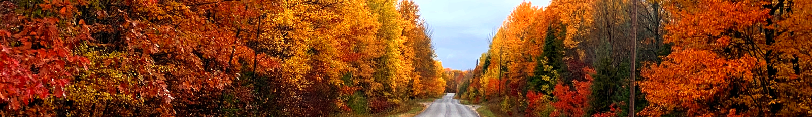 Kawartha Lakes Hideaway Road with trees in fall foliage