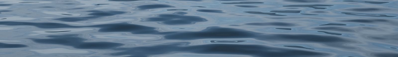 Image of surface of lake water.
