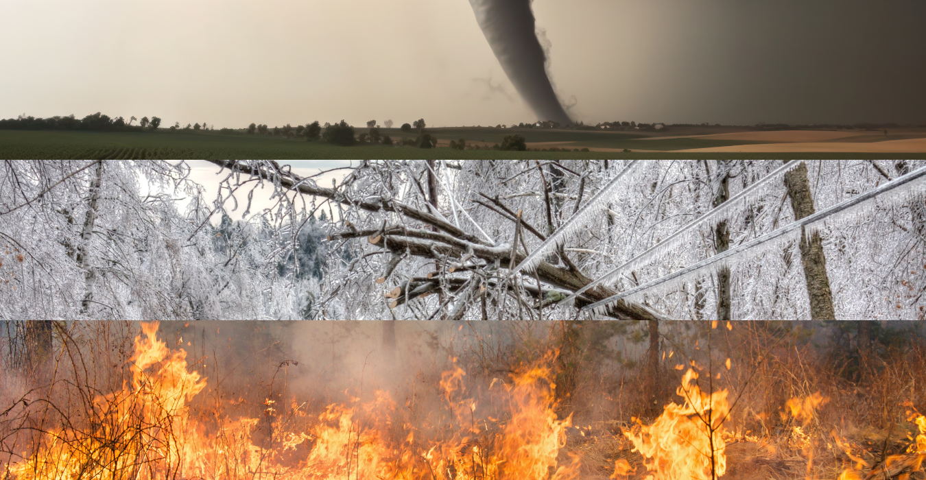 3 image collage of tornado, forest fire and ice storm.